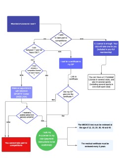 Licenses Pickleball (EN) - Decision tree